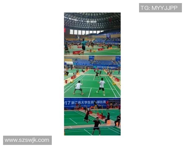 羽毛球力量排行榜揭晓北京羽毛球队荣获第八名佳绩